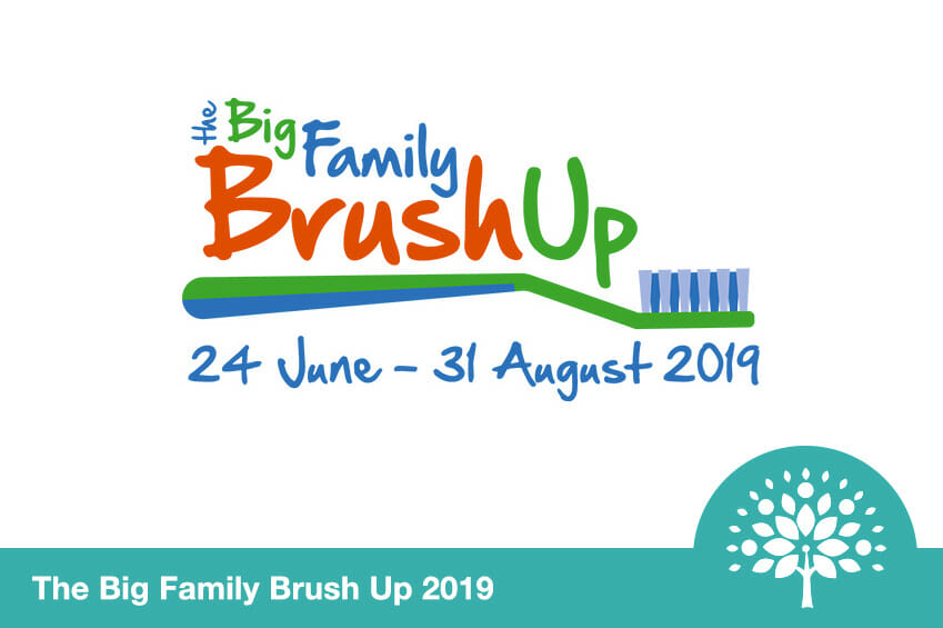 the big family brush up